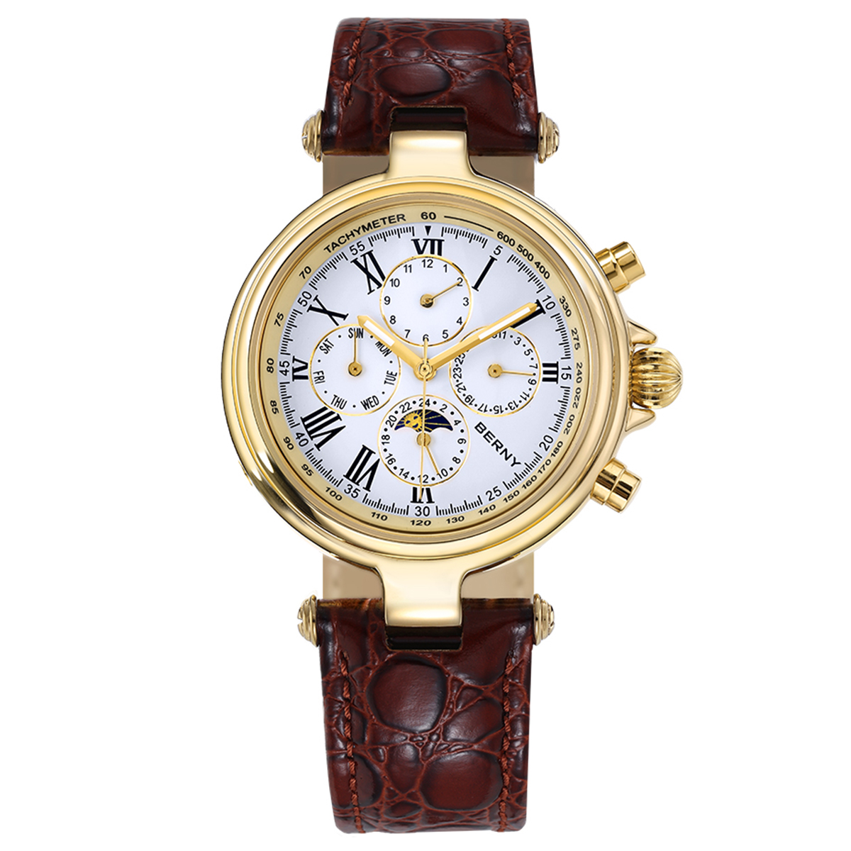 Montre automatique rétro BERNY - Seiko Watch Prospex avis et prix